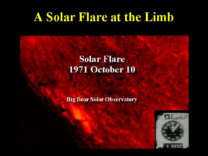 A Solar Flare at the Limb 