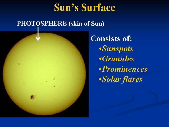 Sun’s Surface PHOTOSPHERE (skin of Sun) Consists of: • Sunspots • Granules • Prominences