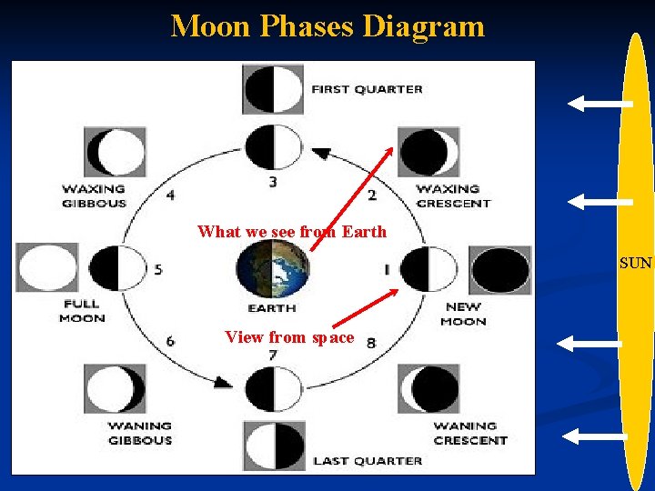 Moon Phases Diagram What we see from Earth SUN View from space 