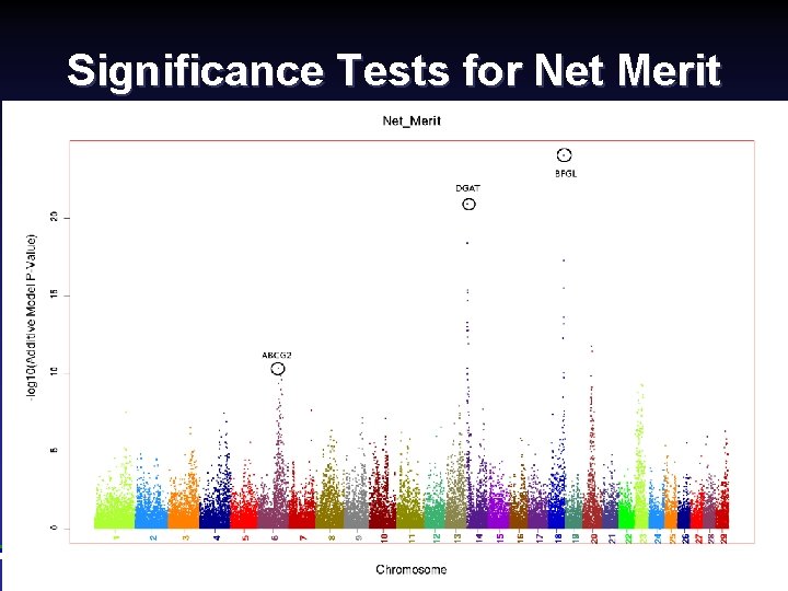 Significance Tests for Net Merit Canadian Dairy Cattle Improvement Industry Forum, September 2008 (12)