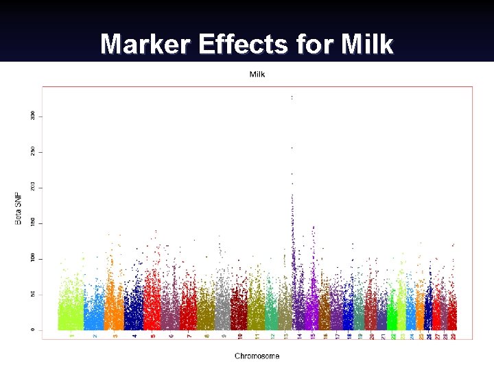 Marker Effects for Milk Canadian Dairy Cattle Improvement Industry Forum, September 2008 (15) Paul