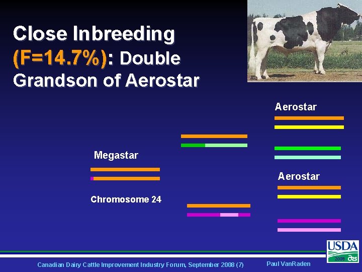 Close Inbreeding (F=14. 7%): Double Grandson of Aerostar Megastar Aerostar Chromosome 24 Canadian Dairy