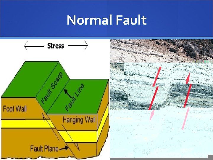 Normal Fault 