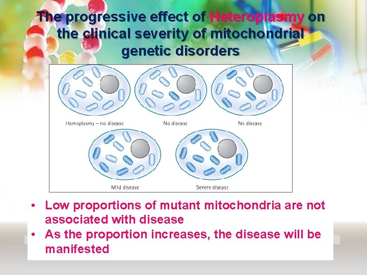 The progressive effect of Heteroplasmy on the clinical severity of mitochondrial genetic disorders •