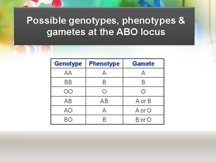 Possible genotypes, phenotypes & gametes at the ABO locus Genotype Phenotype Gamete AA A