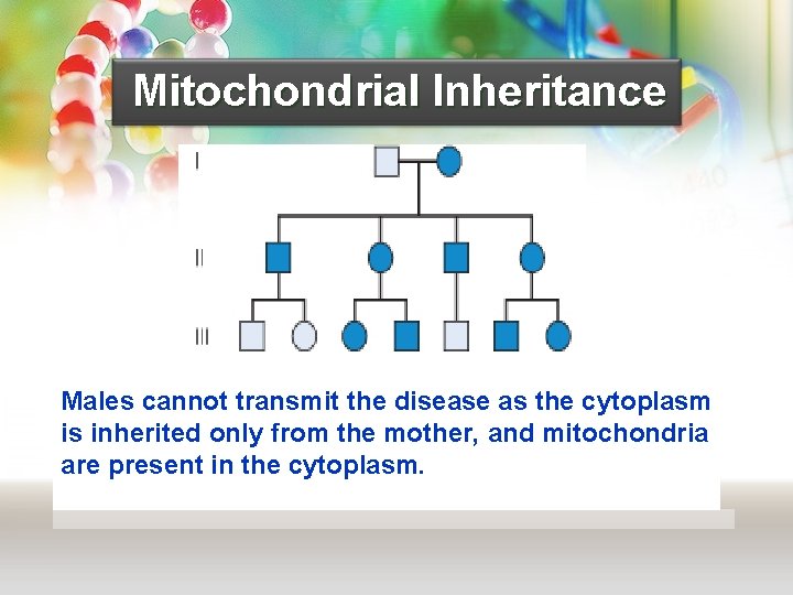 Mitochondrial Inheritance Males cannot transmit the disease as the cytoplasm is inherited only from