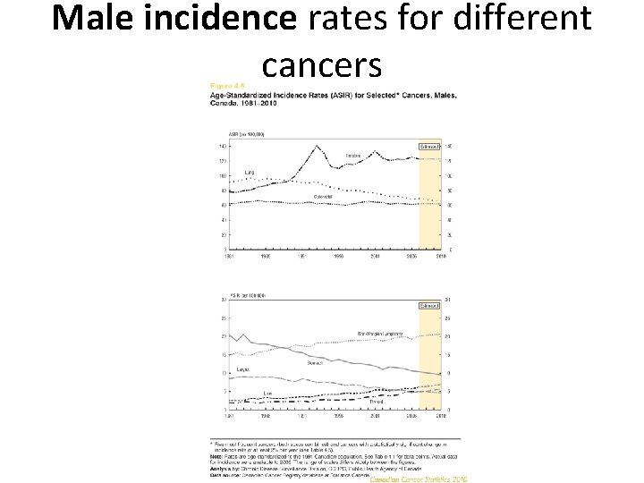 Male incidence rates for different cancers 