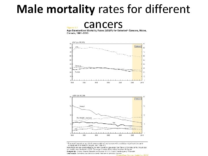 Male mortality rates for different cancers 