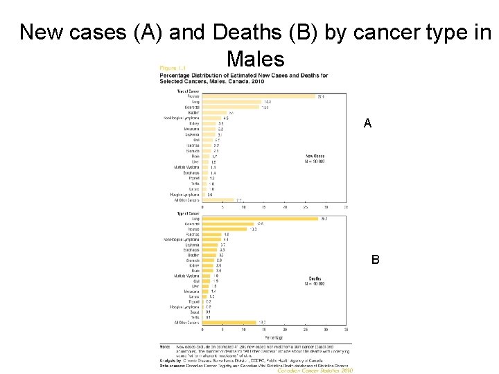 New cases (A) and Deaths (B) by cancer type in Males A B 