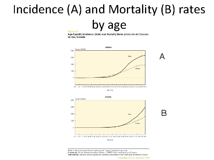 Incidence (A) and Mortality (B) rates by age A B 