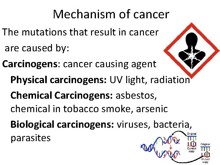 Mechanism of cancer The mutations that result in cancer are caused by: Carcinogens: cancer