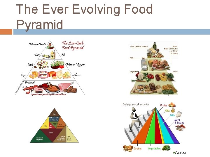 The Ever Evolving Food Pyramid 