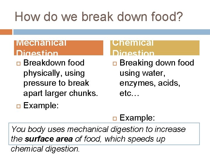 How do we break down food? Mechanical Digestion Chemical Digestion Breakdown food physically, using