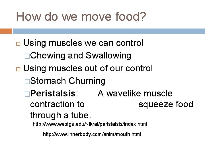 How do we move food? Using muscles we can control �Chewing and Swallowing Using
