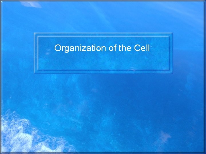 Organization of the Cell 