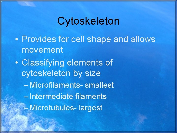 Cytoskeleton • Provides for cell shape and allows movement • Classifying elements of cytoskeleton