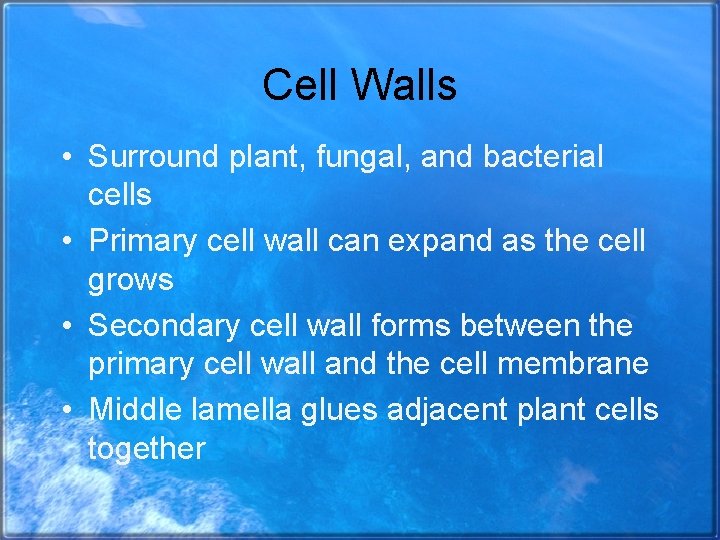 Cell Walls • Surround plant, fungal, and bacterial cells • Primary cell wall can