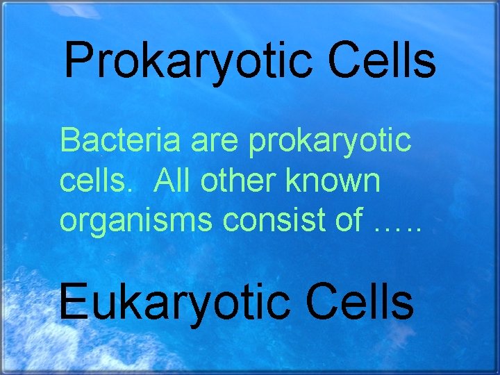 Prokaryotic Cells Bacteria are prokaryotic cells. All other known organisms consist of …. .