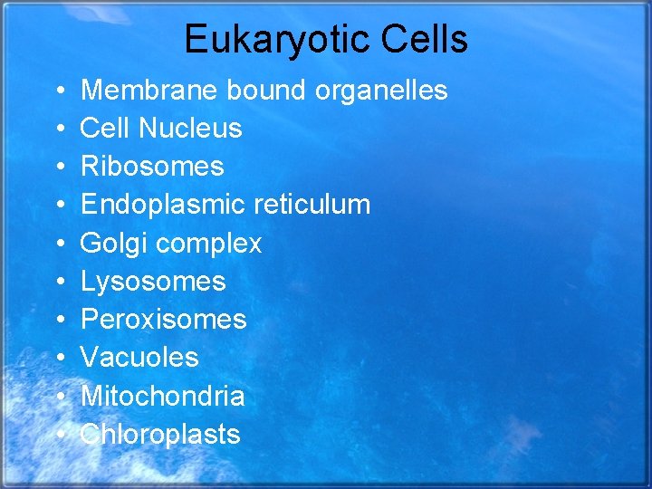 Eukaryotic Cells • • • Membrane bound organelles Cell Nucleus Ribosomes Endoplasmic reticulum Golgi