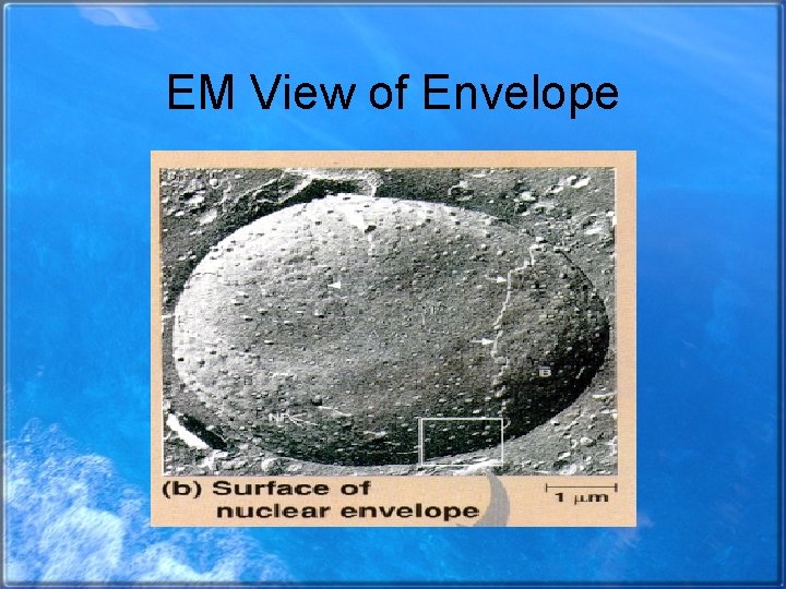 EM View of Envelope 