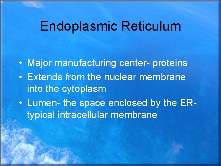 Endoplasmic Reticulum • Major manufacturing center- proteins • Extends from the nuclear membrane into