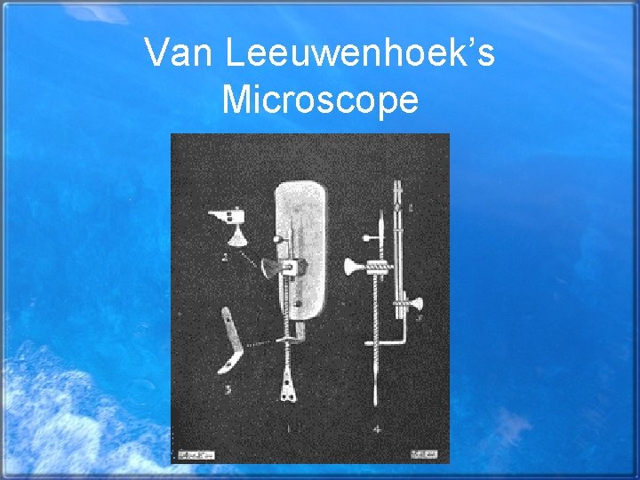 Van Leeuwenhoek’s Microscope 