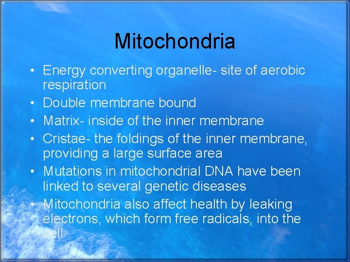 Mitochondria • Energy converting organelle- site of aerobic respiration • Double membrane bound •