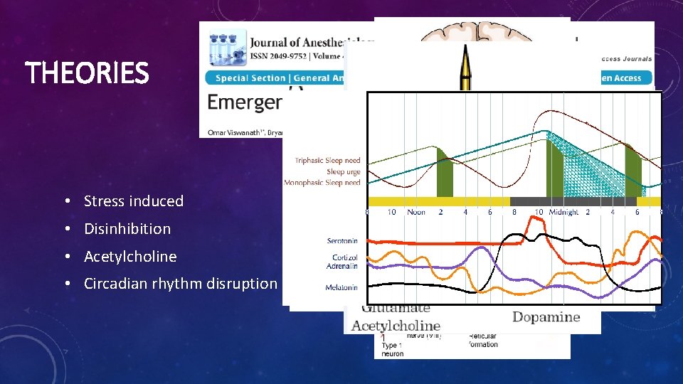 THEORIES • Stress induced • Disinhibition • Acetylcholine • Circadian rhythm disruption 