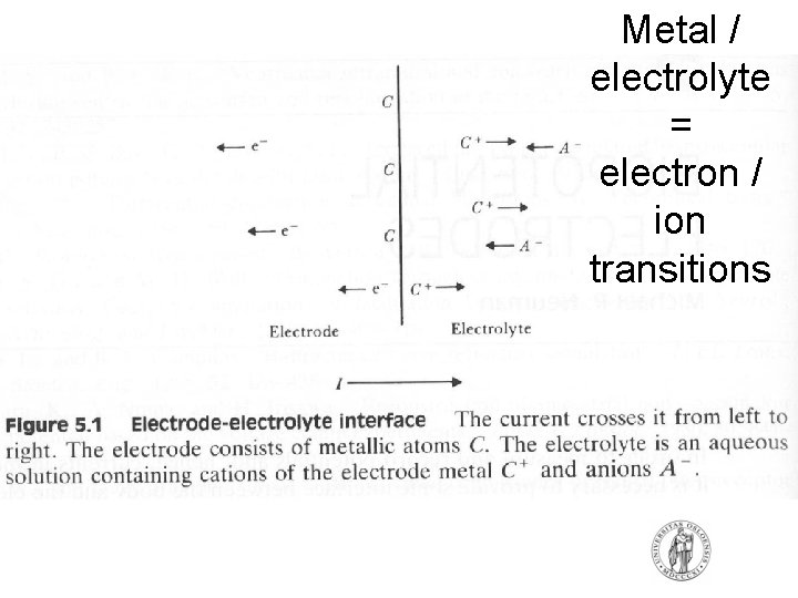 Metal / electrolyte = electron / ion transitions Metal / electrolyte = electron / ion transitions
