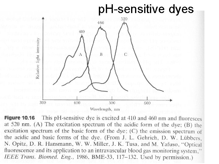 p. H-sensitive dyes p. H-sensitive dyes