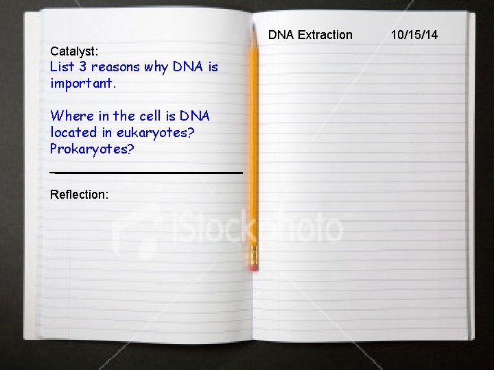 DNA Extraction Catalyst: List 3 reasons why DNA is important. Where in the cell