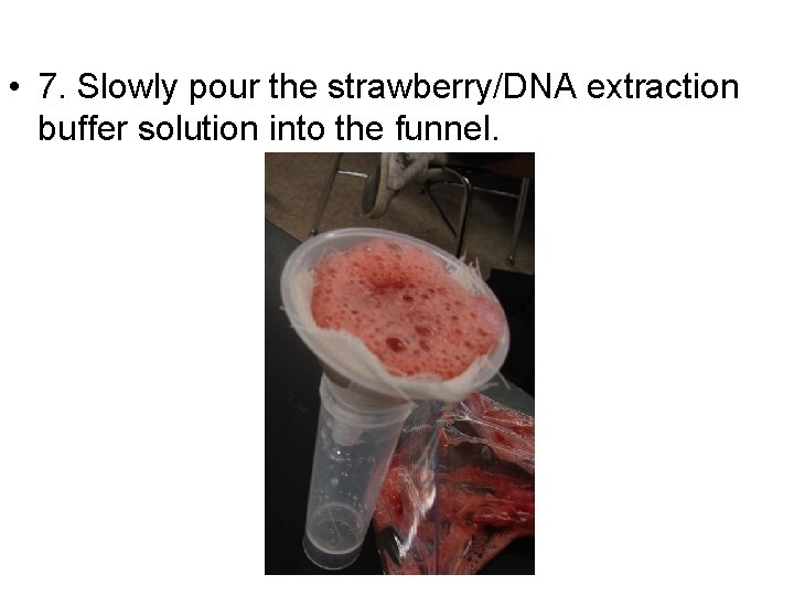  • 7. Slowly pour the strawberry/DNA extraction buffer solution into the funnel. 