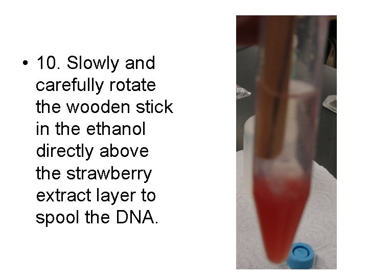  • 10. Slowly and carefully rotate the wooden stick in the ethanol directly