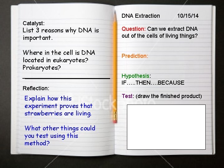 DNA Extraction Catalyst: List 3 reasons why DNA is important. Where in the cell