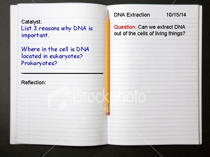 DNA Extraction Catalyst: List 3 reasons why DNA is important. Where in the cell