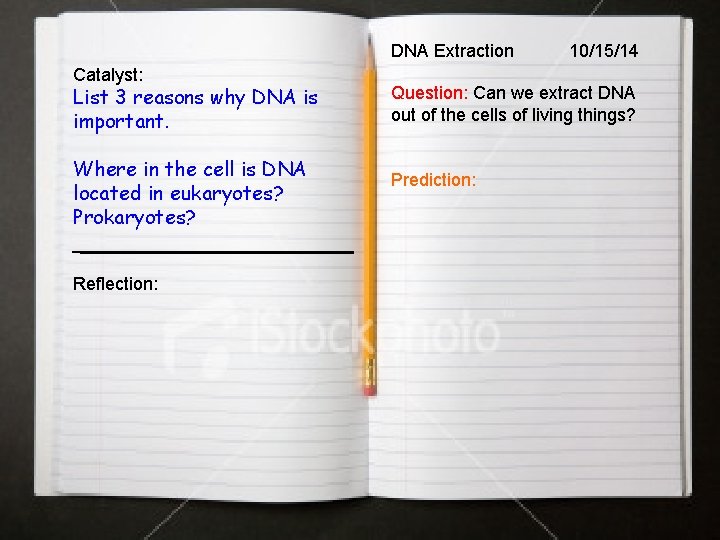 DNA Extraction Catalyst: List 3 reasons why DNA is important. Where in the cell