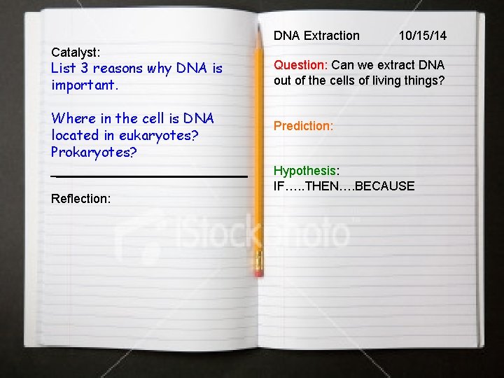 DNA Extraction Catalyst: List 3 reasons why DNA is important. Where in the cell