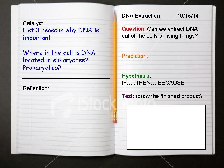 DNA Extraction Catalyst: List 3 reasons why DNA is important. Where in the cell