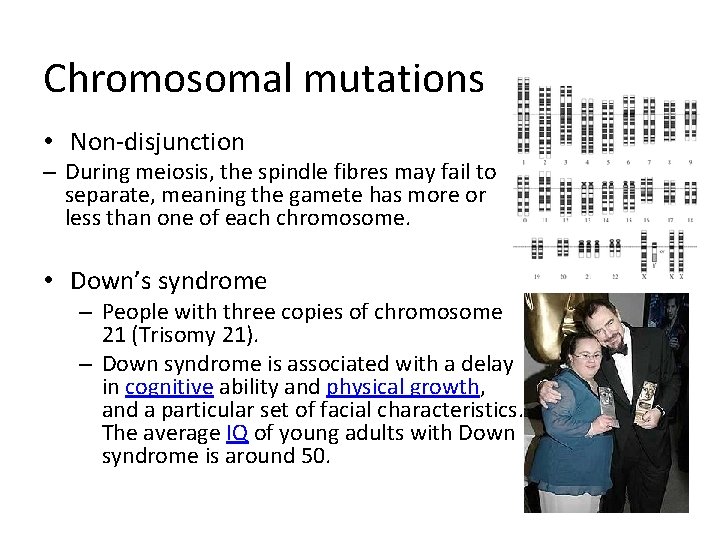 Chromosomal mutations • Non-disjunction – During meiosis, the spindle fibres may fail to separate,