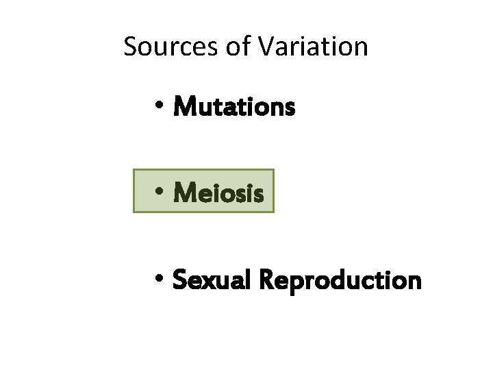 Sources of Variation • Mutations • Meiosis • Sexual Reproduction 