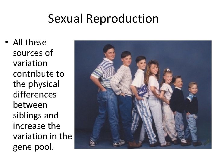 Sexual Reproduction • All these sources of variation contribute to the physical differences between