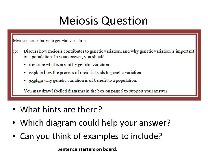 Meiosis Question • What hints are there? • Which diagram could help your answer?