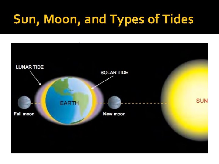 Sun, Moon, and Types of Tides Sun, Moon, and Types of Tides