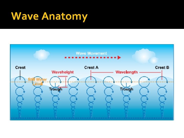 Wave Anatomy Wave Anatomy