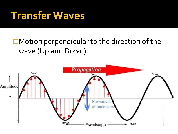 Transfer Waves �Motion perpendicular to the direction of the wave (Up and Down) Transfer Waves �Motion perpendicular to the direction of the wave (Up and Down)