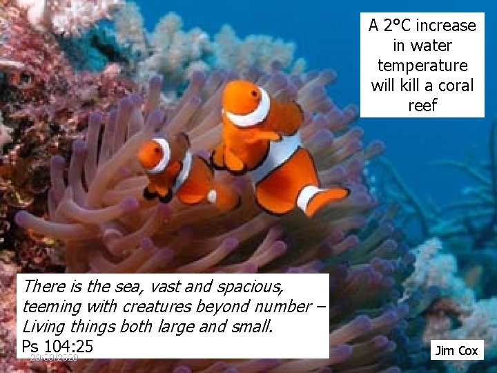 A 2°C increase in water temperature will kill a coral reef There is the