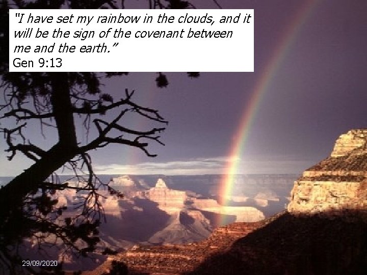 “I have set my rainbow in the clouds, and it will be the sign