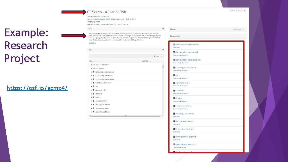 Example: Research Project https: //osf. io/ecmz 4/ 