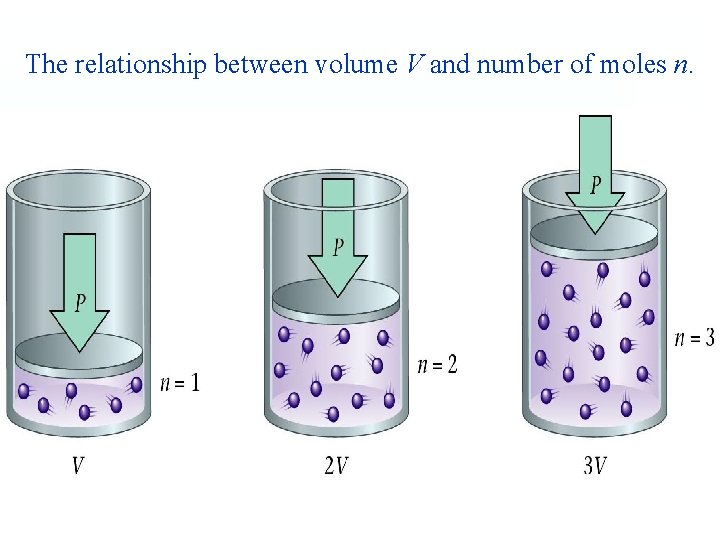 The relationship between volume V and number of moles n. 