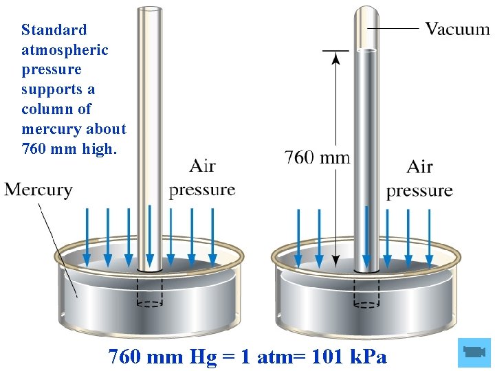 Standard atmospheric pressure supports a column of mercury about 760 mm high. 760 mm